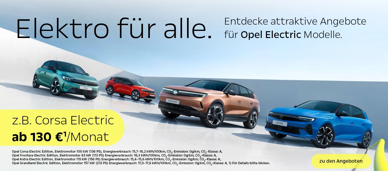 Opel E-Förderung