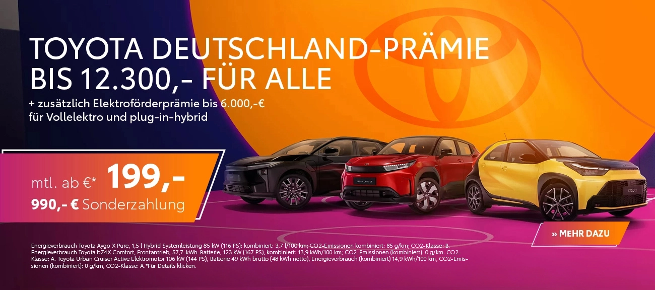 Toyota Team Day 2026