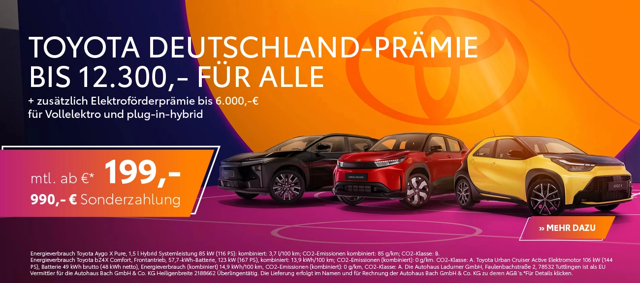 Toyota Team Day 2026